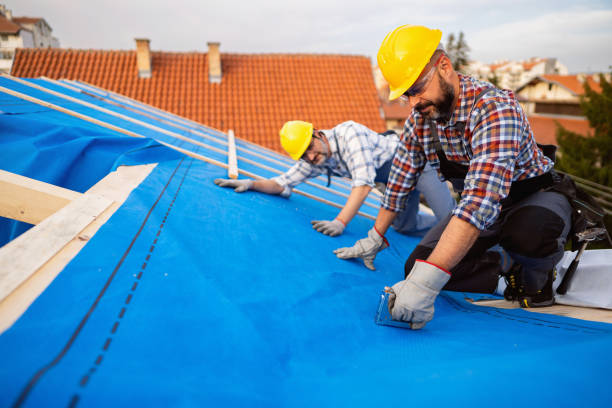 Best Roof Leak Repair  in Hamlin, WV