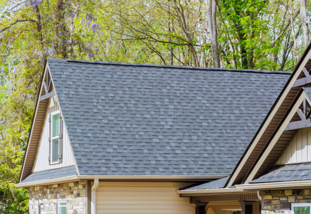 Best Roof Ventilation Installation  in Hamlin, WV