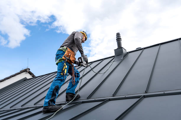 Best Gutter Installation and Repair  in Hamlin, WV